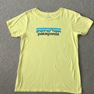 Patagonia tshirt